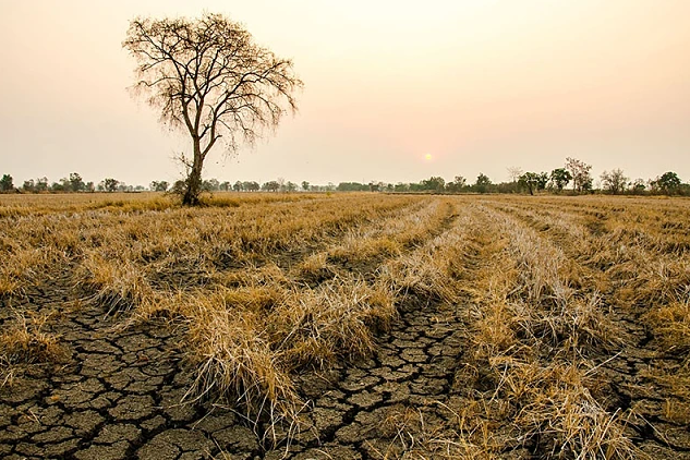 This IPCC report calls for action not just from nations, but from businesses, state and regional governments and cities