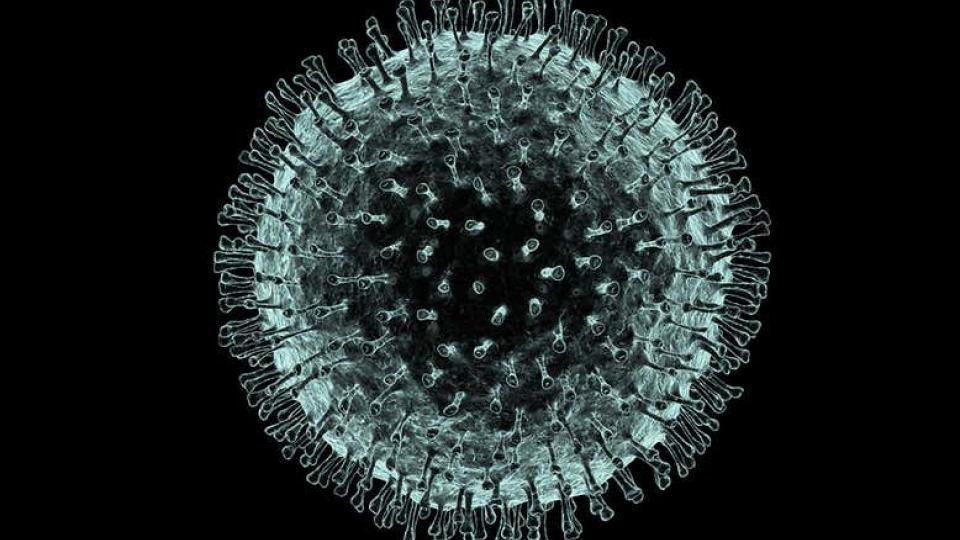 Coronavirus