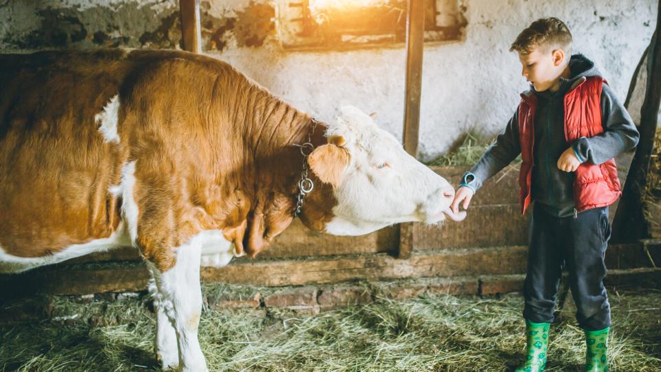 AXA IM: Duurzame voeding: een nieuw beleggingsthema op het menu