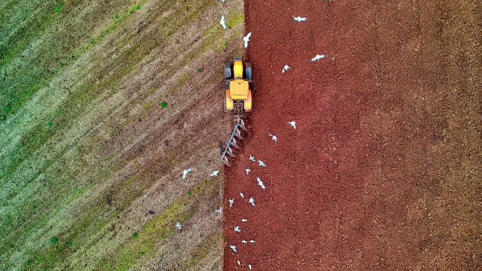 Triodos Food Transition Europe Fund streeft naar een nieuwe, duurzame voedingssector 