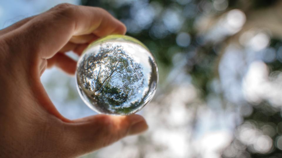 LFDE: Miroir, mon beau miroir, dis-moi Qui est vraiment vert ?