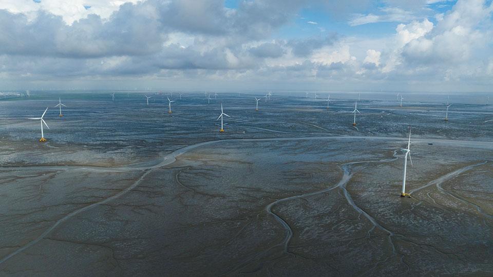  Journée Zéro Émission : rôle des investisseurs dans la réalisation de cet objectif