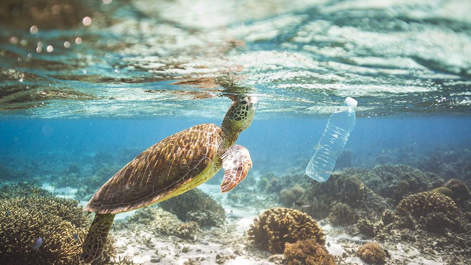 AXA IM lanceert aandelenfonds ter ondersteuning van de plastic- en afvaltransitie