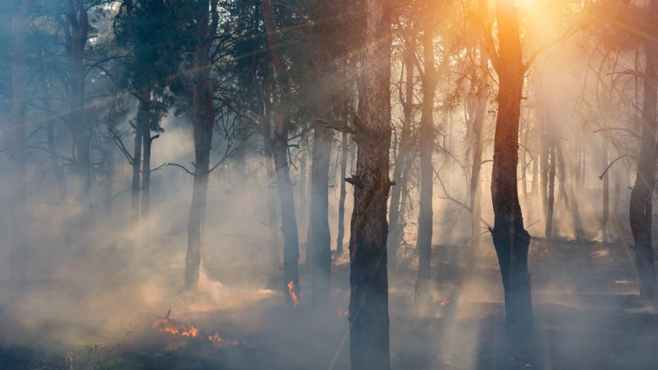 Schroders : Beleggers onderschatten fysieke risico's van klimaatverandering 