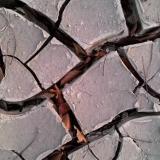 Cracked soil